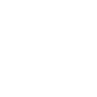 INE Logo
